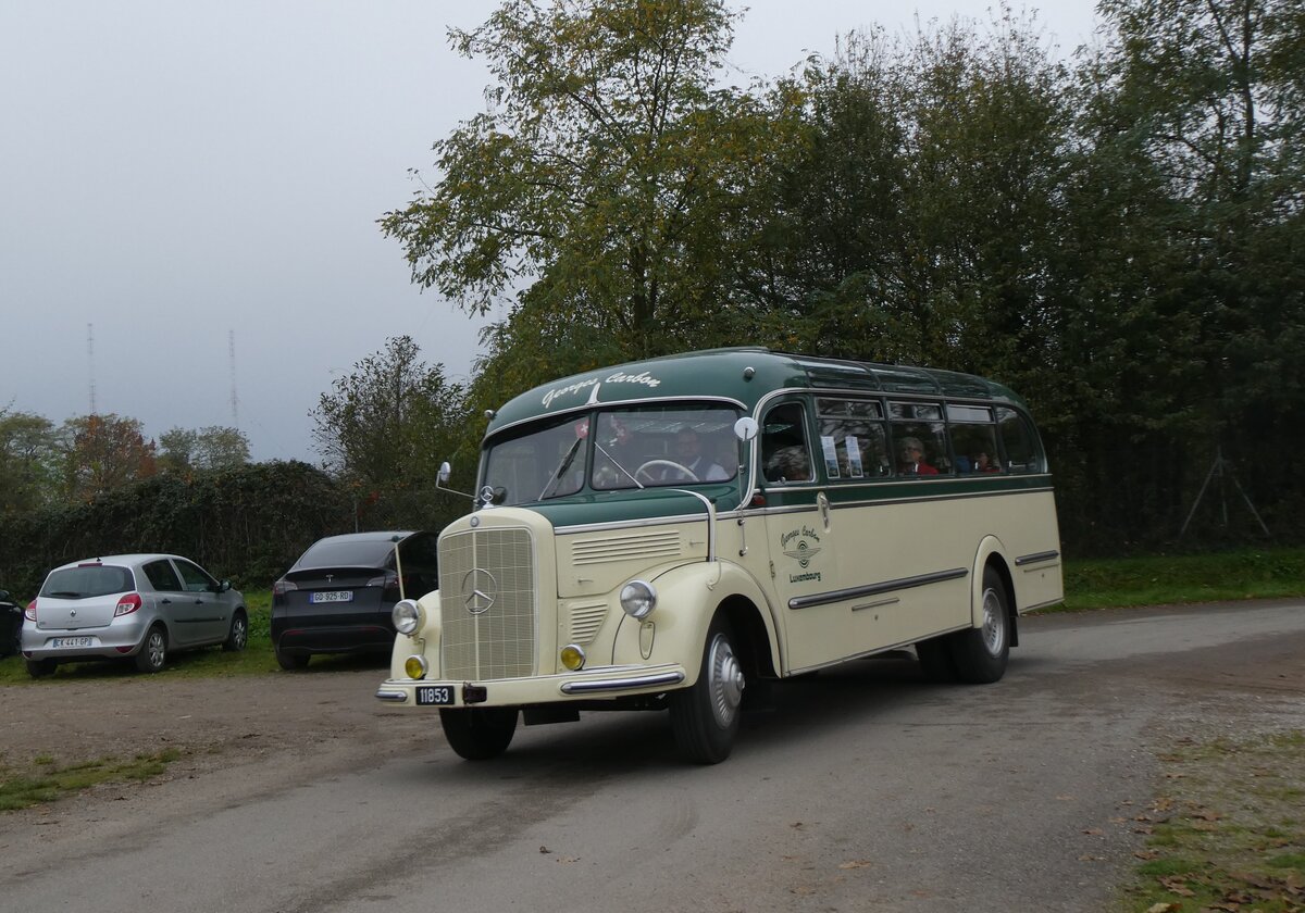 (268'652) - Aus Luxemburg: Carbon, Luxembourg - 11'853 - Mercedes am 26. Oktober 2024 in Kintzheim, Cigoland