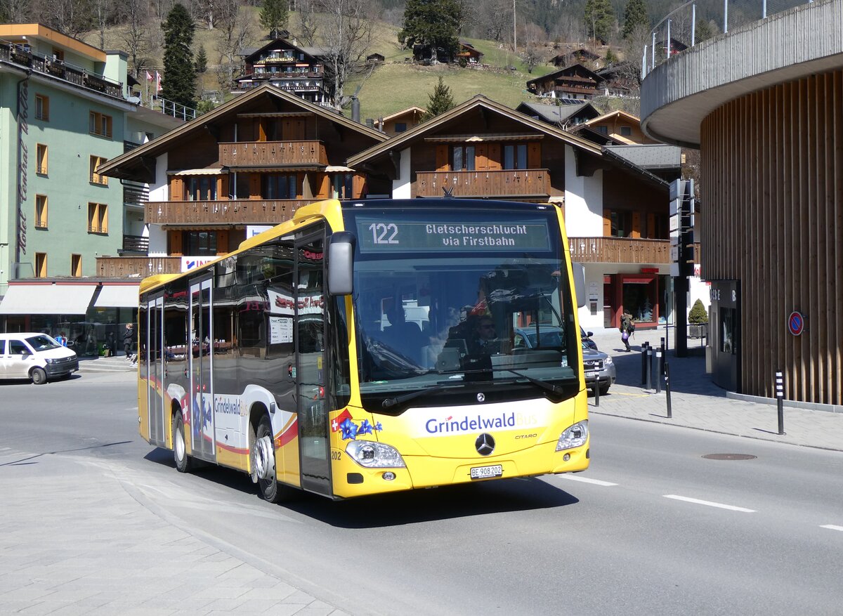 (273'279)  GrindelwaldBus, Grindelwald - Nr. 202/BE 908'202 - Mercedes am 28. Mrz 2025 in Grindelwald, Sportzentrum
