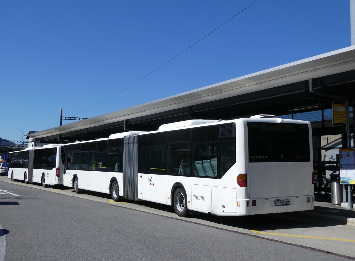 (273'832) - Wieland, Murten - Nr. 123/FR 300'604 - Mercedes (ex Knecht, Windisch Nr. 215; ex Interbus, Yverdon Nr. 215; ex BVB Basel Nr. 794; ex ASN Stadel Nr. 199/PID 4125) am 11. April 2025 beim Bahnhof Schpfheim