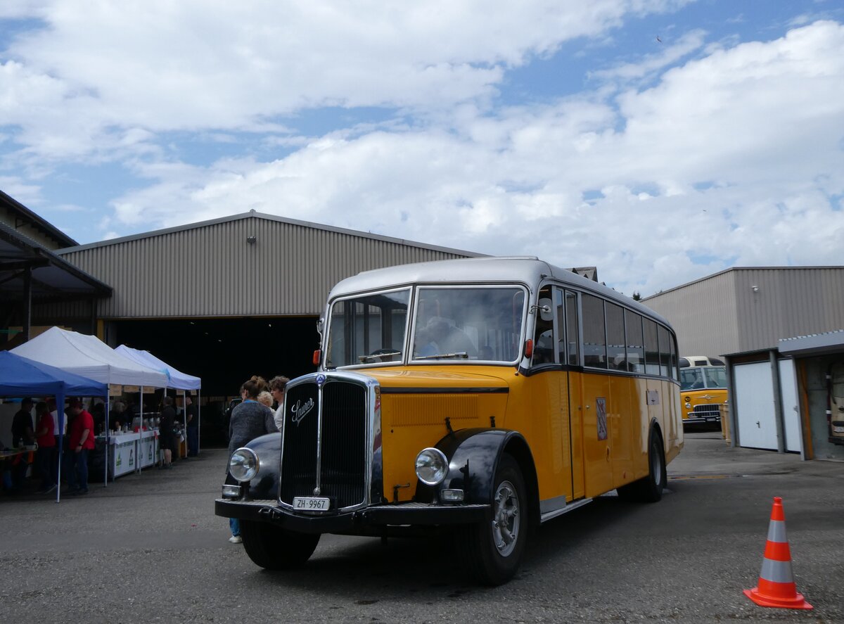 (274'561) - Wegmller, Attikon - ZH 9967 - Saurer/Hess (ex P 24'531; ex P 1375) am 3. Mai 2025 in Attikon, Wegmller