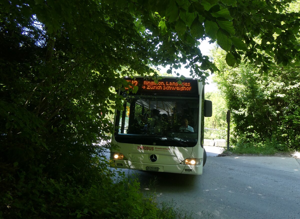 (276'110) - Welti-Furrer, Bassersdorf - Nr. 42/ZH 250'855 - Mercedes am 31. Mai 2025 beim Bahnhof Uetliberg