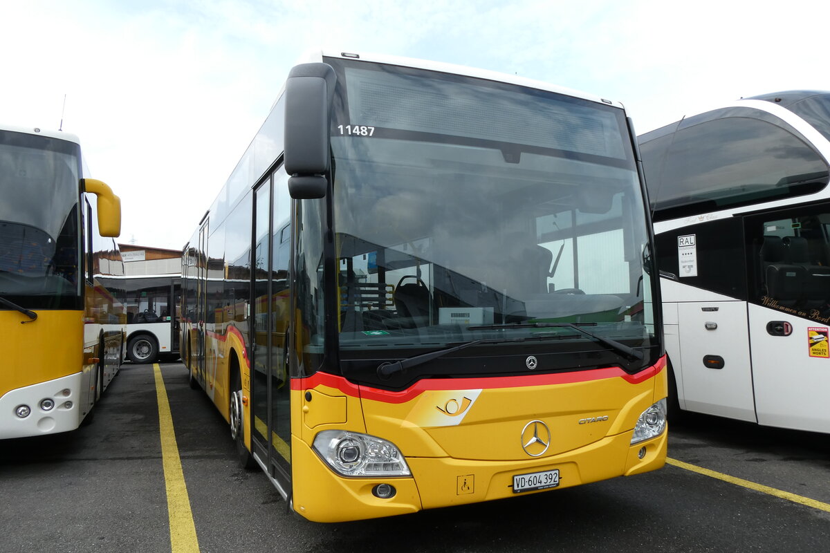 (278'094) - CarPostal Ouest - VD 604'392/PID 11'487 - Mercedes am 27. Juli 2025 in Kerzers, Interbus