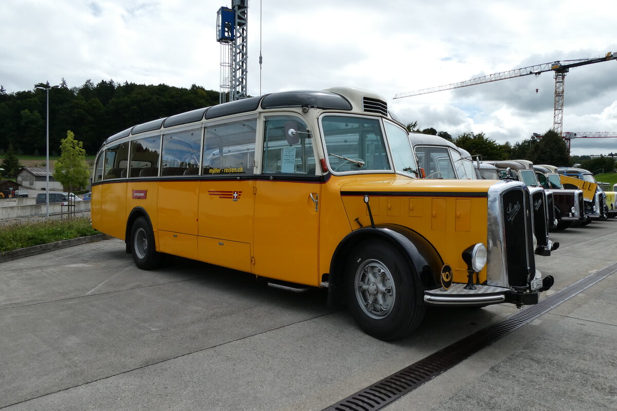 (279'618) - Mller, Uttigen - BE 14'452 - Saurer/Eggli (ex Tschannen, Arth; ex OPC Ennetbrgen Nr. 2; ex M+79'513; ex P 23'153; ex P 2240) am 30. August 2025 in Oberkirch, CAMPUS Sursee