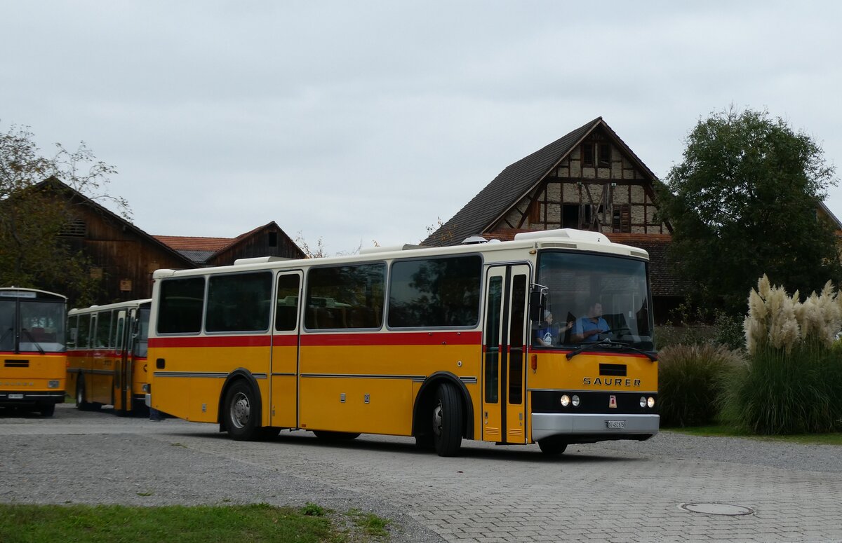 (281'452) - Stolz, Niederbren - SG 452'875 - Saurer/R&J (ex Soltermann, Bichwil; ex Ziegler, Pratteln; ex Tanner, Bubendorf; ex Schnider, Schpfheim) am 12. Oktober 2025 in Hitzkirch, Interkantonale Polizeischule