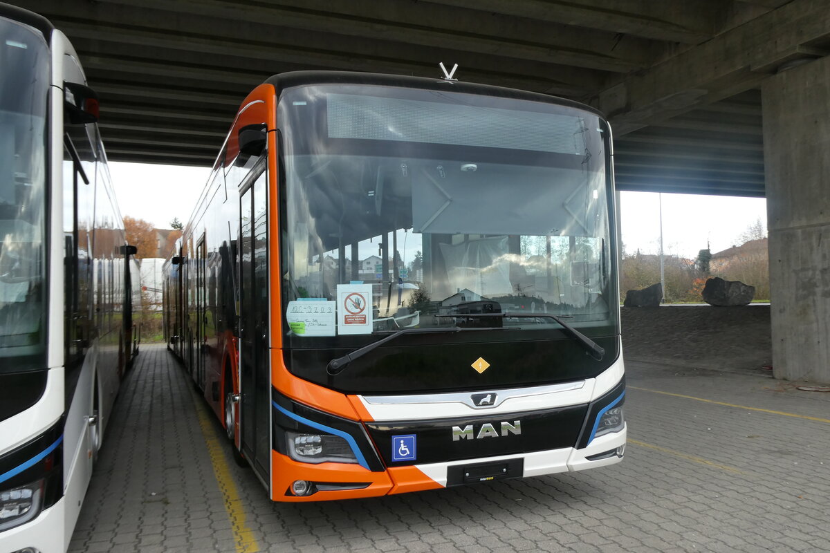 (282'450) - Genve-Tours, Genve - (3Z03) - eMAN am 15. November 2025 in Kerzers, Murtenstrasse