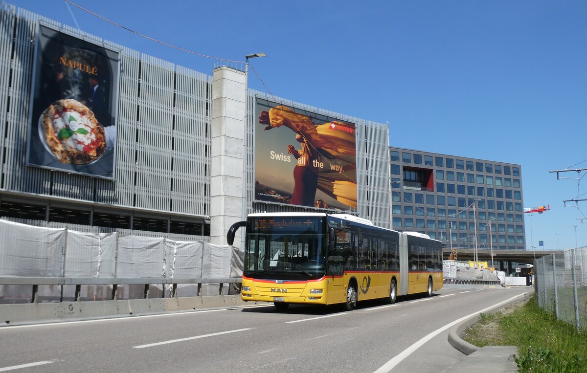 (286'325) - PostAuto Z�rich - Nr. 316/ZH 780'681/PID 10'308 - MAN am 23. April 2026 in Z�rich-Flughafen
