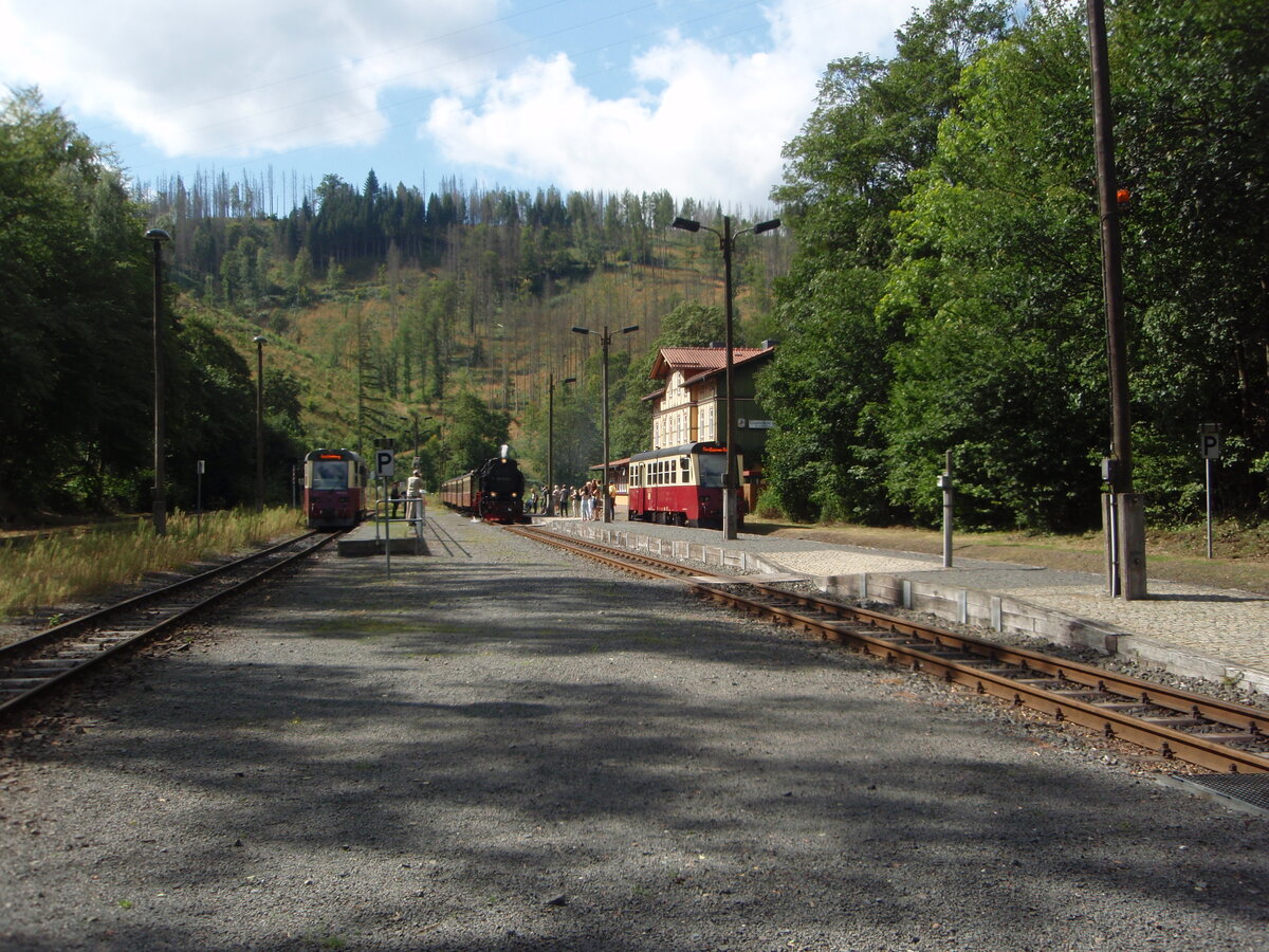 99 7232 der Harzer Schmalspurbahnen als HSB Nordhausen Nord - Brocken bei der Einfahrt in Eisfelder Talmhle. 10.08.2024