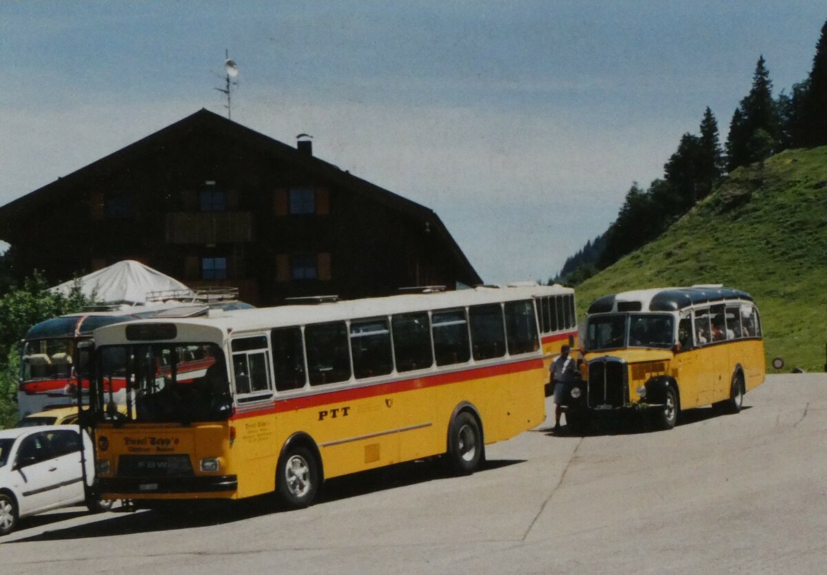 (MD500) - Aus dem Archiv: Wespe, Altsttten - FBW/Tscher (ex P 24'800) im Jahr 2003