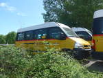 (216'980) - CarPostal Ouest - (VD 391'509) - Renault am 10.