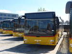 (179'870) - CarPostal Ouest - VD 495'042 - MAN am 29.