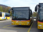 (186'018) - CarPostal Ouest - JU 36'038 - MAN am 21.