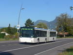 (210'315) - VMCV Clarens - Nr.