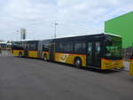 (216'737) - CarPostal Ouest - VD 259'997 - MAN am 3.