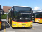 (216'876) - PostAuto Ostschweiz - SZ 77'288 - MAN (ex Kistler, Reichenburg) am 9.