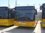 (216'982) - CarPostal Ouest - VD 566'342 - MAN am 10.