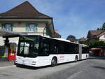 (276'172) - Hfliger, Sursee - Nr. 8/LU 267'507 - MAN (ex St. Gallerbus, St. Gallen Nr. 276) am 1. Juni 2025 beim Bahnhof Langnau