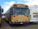 (211'843) - Transportes Tilarn, Tilarn - 2270 - Bluebird am 21.