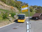 (198'272) - BUS-trans, Visp - VS 113'000 - Irisbus am 14.