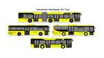 PostBus - Solaris Urbino 18 + Iveco Crossway LE + Wtzer, Grn - Setra S 415 LE Business + PostBus - Solaris Urbino 12