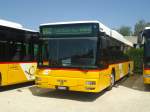 (141'333) - CarPostal Ouest - VD 510'238 - MAN (ex P 25'144) am 19.