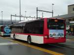 (143'907) - TRAVYS Yverdon - VD 1419 - MAN am 27.