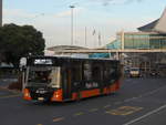 (192'229) - Bus Travel, Manukau - Nr.