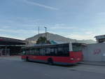 (196'734) - PostBus - BD 13'639 - MAN am 11.