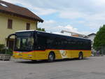 (205'447) - CarPostal Ouest - JU 31'988 - MAN am 25.