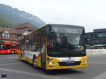 (216'331) - Grindelwaldbus, Grindelwald - Nr.