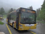 (217'633) - Grindelwaldbus, Grindelwald - Nr.