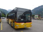 (226'117) - PostAuto Bern - BE 422'461 - MAN/Gppel (ex AVG Meiringen Nr.