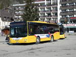 (233'255) - Grindelwaldbus, Grindelwald - Nr.