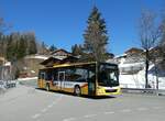 (233'267) - Grindelwaldbus, Grindelwald - Nr.