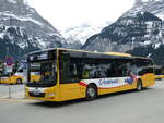 (246'239) - Grindelwaldbus, Grindelwald - Nr.