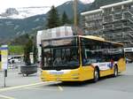 (249'217) - Grindelwaldbus, Grindelwald - Nr.