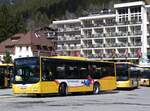 (260'541) - GrindelwaldBus, Grindelwald - Nr.