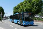 (289'219) - BRN Ludwigshafen - Nr. 812/LU-ET 812 - MAN am 22. Juni 2026 in Heidelberg, am Neckar