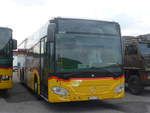 (210'262) - CarPostal Ouest - VD 613'446 - Mercedes am 12.