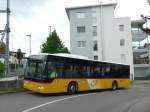 (153'534) - SB Trans, Sursee - Nr.