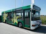 (250'981) - Weingartner, Bruckberg - Neoplan am 4. Juni 2023 in Pilsting, Auwrter Automobil-Park