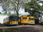 (211'333) - Transportes Tilarn, Tilarn - 3124 - Thomas am 15.