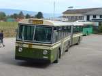 (174'504) - SVB Bern (TVB) - Nr.