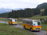 (197'789) - Frutig, Birmensdorf - ZH 560'883 - FBW/FHS (ex P 23'217) + Mller, Ennetmoos - NW 23'167 - FBW/Gangloff (ex Rentsch, Gunten; ex P 23'203; ex P 21'003) am 16.