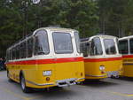 (197'798) - Frutig, Birmensdorf - ZH 560'883 - FBW/FHS (ex P 23'217) am 16.