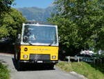 (238'263) - Wittwer, Chur - GR 16'004 - FBW/Gangloff (ex Eggenberger, Mriken; ex AVG Grindelwald Nr.