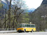 (248'732) - Wittwer, Chur - GR 16'004 - FBW/Gangloff (ex Eggenberger, Mriken; ex AVG Grindelwald Nr.