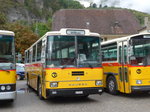 (175'311) - Amstein, Willisau - LU 90'998 U - Saurer/R&J (ex Thepra, Stans Nr.