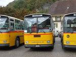 (175'325) - Thommen, Sutz - BE 288'066 - Saurer/Hess (ex P 24'202) am 2.