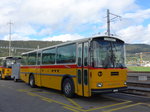 (175'379) - Schmid, Thrishaus - BE 26'206 - Saurer/Tscher (ex P 24'244) am 2.