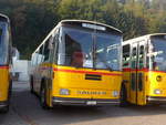 (197'983) - Thommen, Sutz - BE 288'066 - Saurer/Hess (ex P 24'202) am 30.